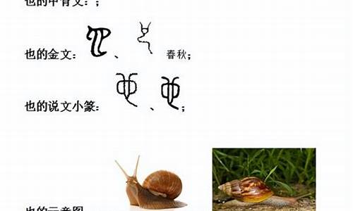 也字开头四字成语