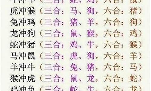 迅速打一生肖是什么_迅速是什么意思啊