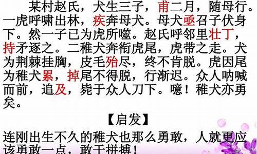 成语文言文故事及翻译和注释_成语文言文故事及翻译和注释大全