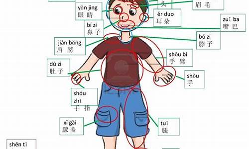 含有人体部位的四字成语_含有人体部位的四字成语词语